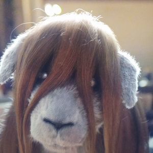 Meet your Posher, Aaron